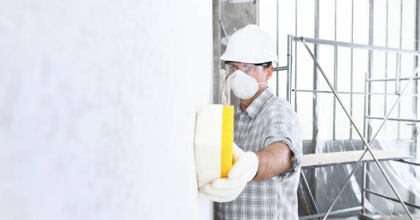 Best Biohazard Mold Removal in Mackinaw, IL